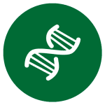 DNA IMAGE FOR BIOLOGY TUTORING SERVICE IN HACK YOUR COURSE TUTORING SERVICE